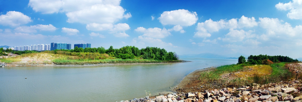 深圳湾风光