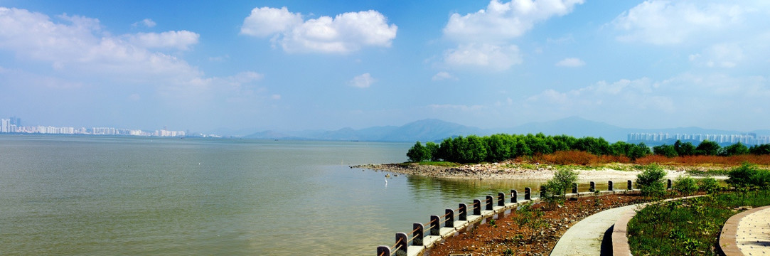 深圳湾风光