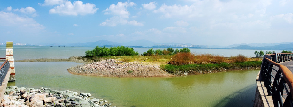 深圳湾风光