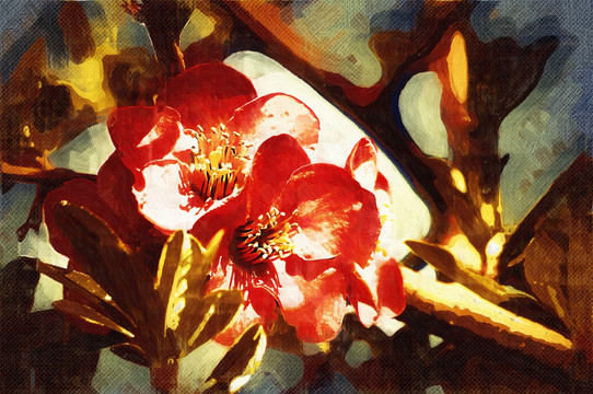 花卉油畫
