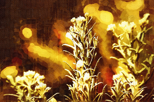 花卉裝飾畫