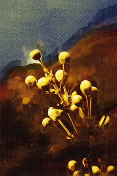 收獲 裝飾畫(huà)