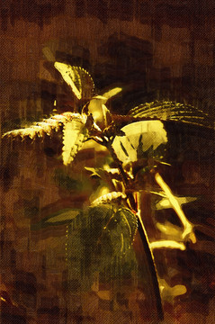 花卉裝飾畫(huà)