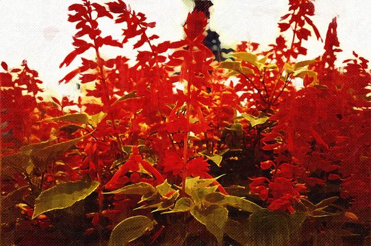 花朵油畫
