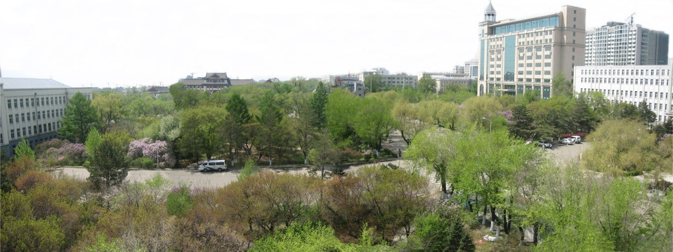 哈尔滨理工大学全景