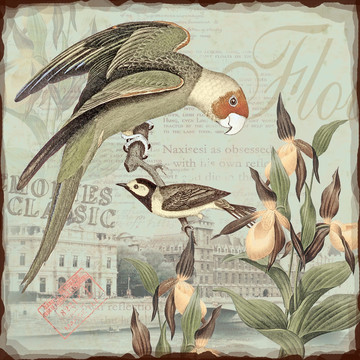 無(wú)框畫(huà) 鳥(niǎo) 花卉 歐美風(fēng)格 著名建筑