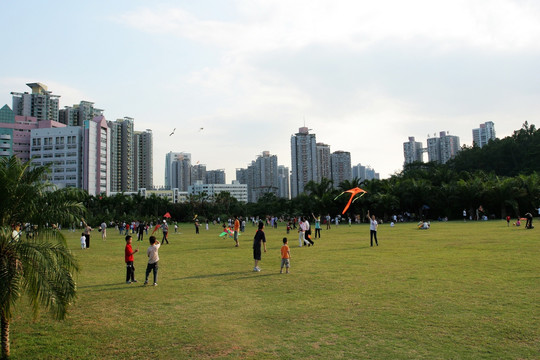 深圳 莲花山公园