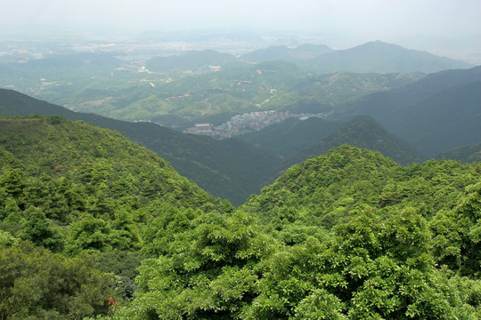 深圳市梧桐山