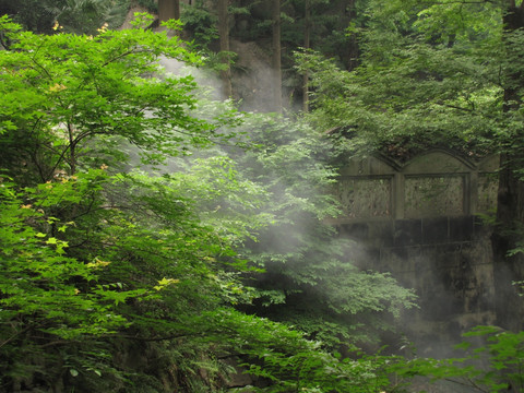 山中藏古寺