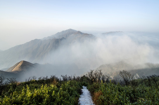 雾景