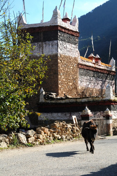 丹巴甲居藏寨景观