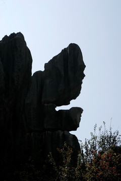 云南石林 恰似猿头的奇石