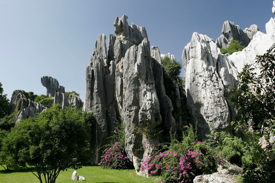 云南 石林风景区