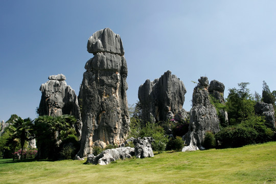 云南 石林风景区