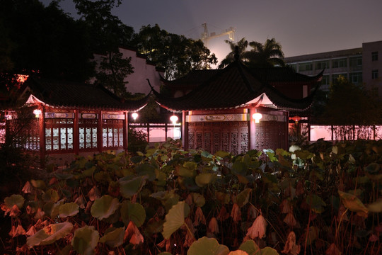 银林山庄夜景