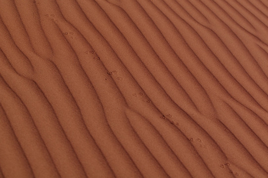 沙漠纹理线条