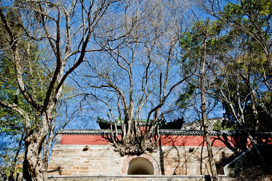 济南灵岩寺