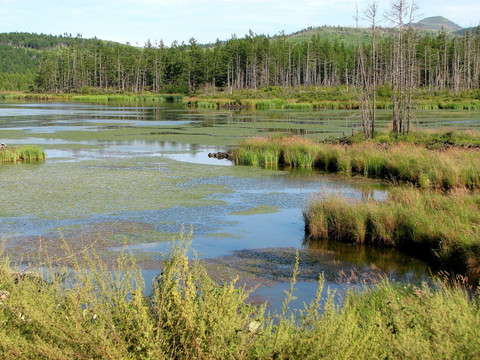 杜鹃湖