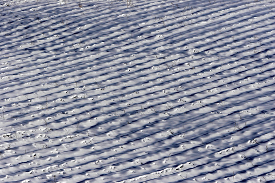 雪地节奏