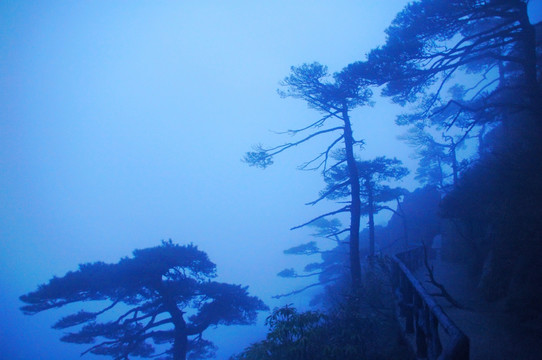 雨雾三清山