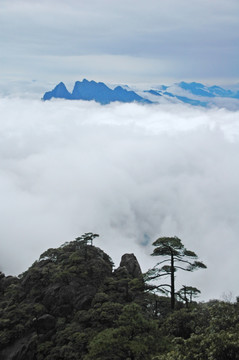 雨雾三清山