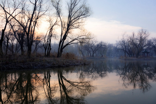 小河晨光