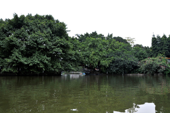 荔湾湖公园 湖光山色