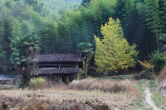 农村杂物间