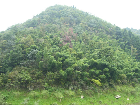 翠绿山峰