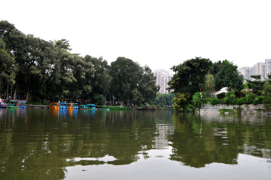 荔湾湖公园 湖光山色