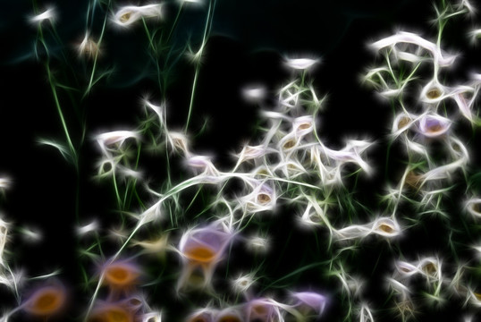 背景花