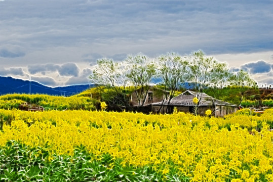 夢(mèng)幻田園