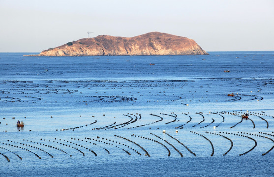 海水养殖