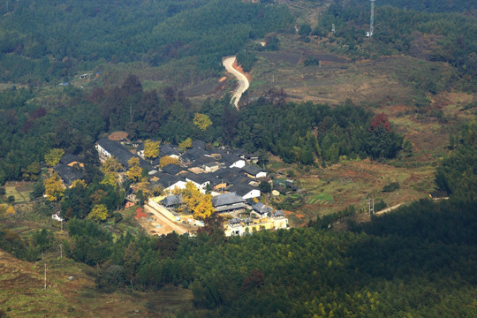 银杏村全景