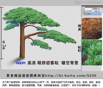 迎客松 高清精拼 壁畫印刷噴墨 大幅面