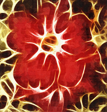 花紋裝飾畫