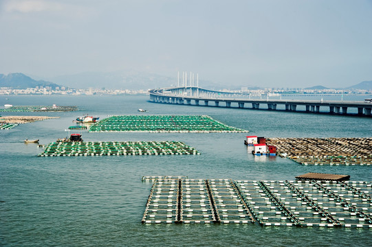 胶州湾大桥