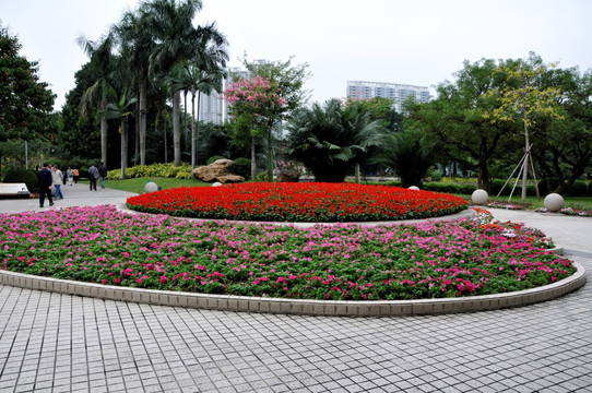 流花湖公园花坛