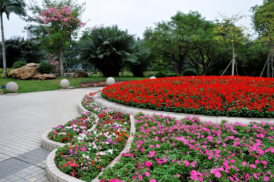 流花湖公园花坛