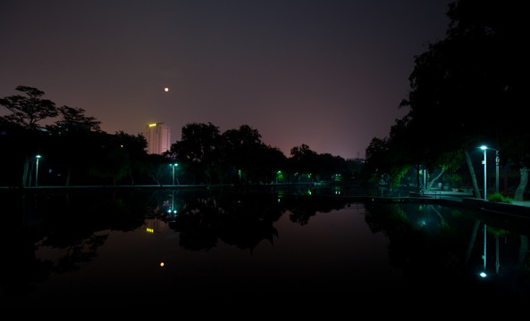 文明湖夜景