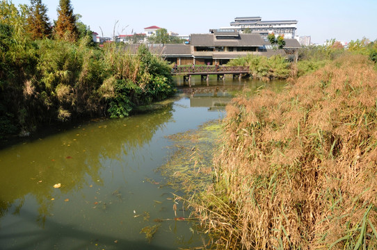 成都浣花溪湿地公园水景