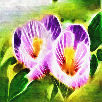 花朵裝飾畫