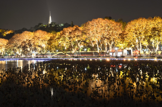 宝石山