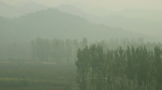 杨庄水库的雾景