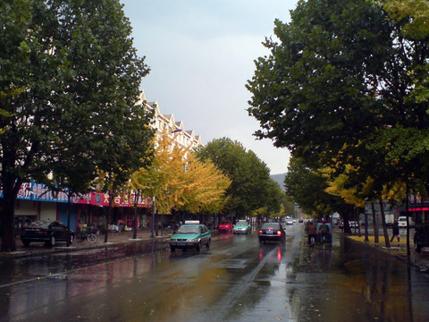 秋天雨后的凤凰大街
