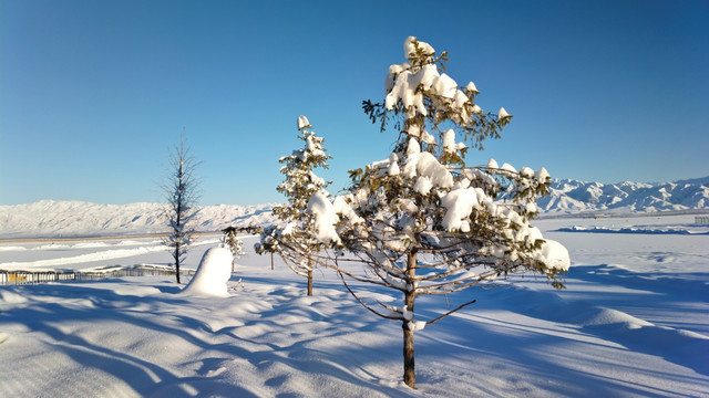 冬雪