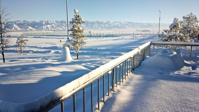 冬雪