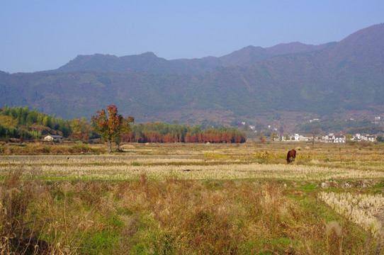 塔川