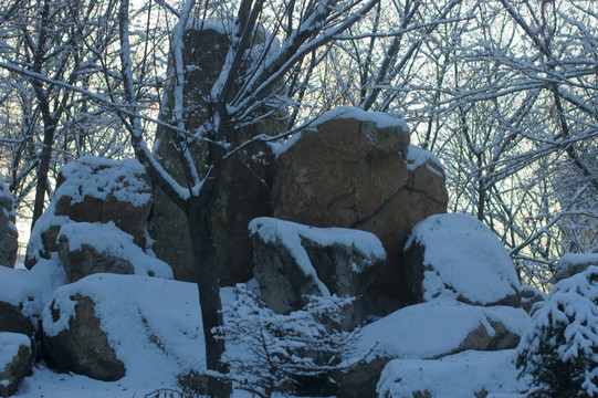 冰雪景色