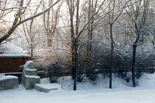 冰雪景色